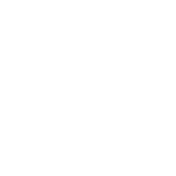 Raydium logo